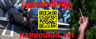 бошки Можга